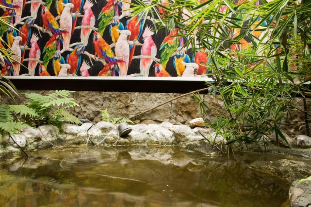 Suites Casa Lozada Bogotá Dış mekan fotoğraf